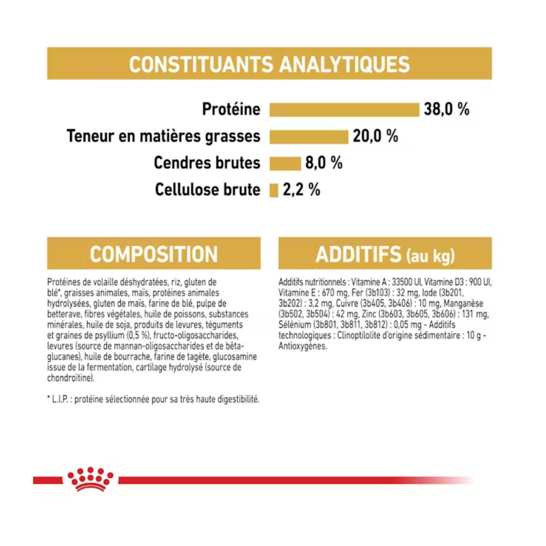 British Shorthair Kitten- Aliment Sec- Royal Canin
