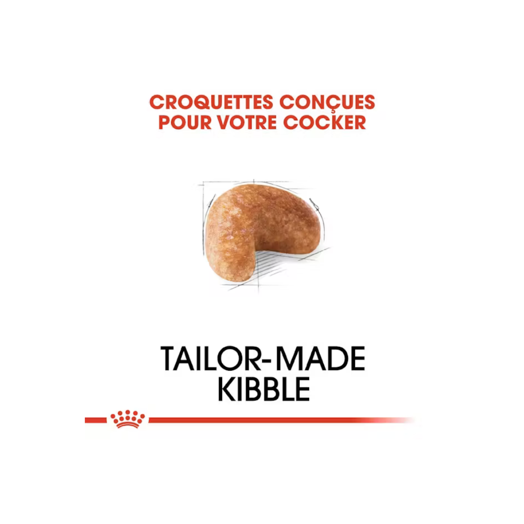 Cocker Adult- Aliment Sec- Royal Canin