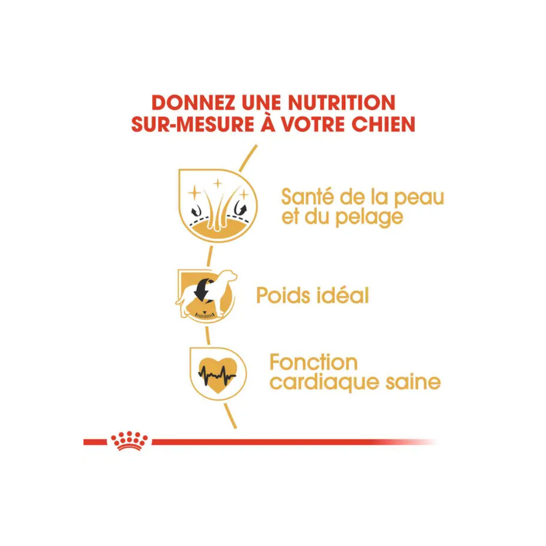 Cocker Adult- Aliment Sec- Royal Canin