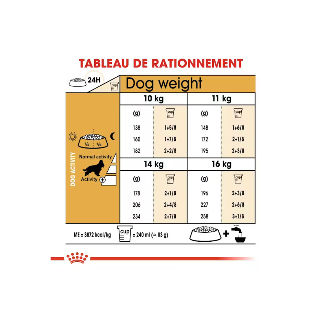 Cocker Adult- Aliment Sec- Royal Canin