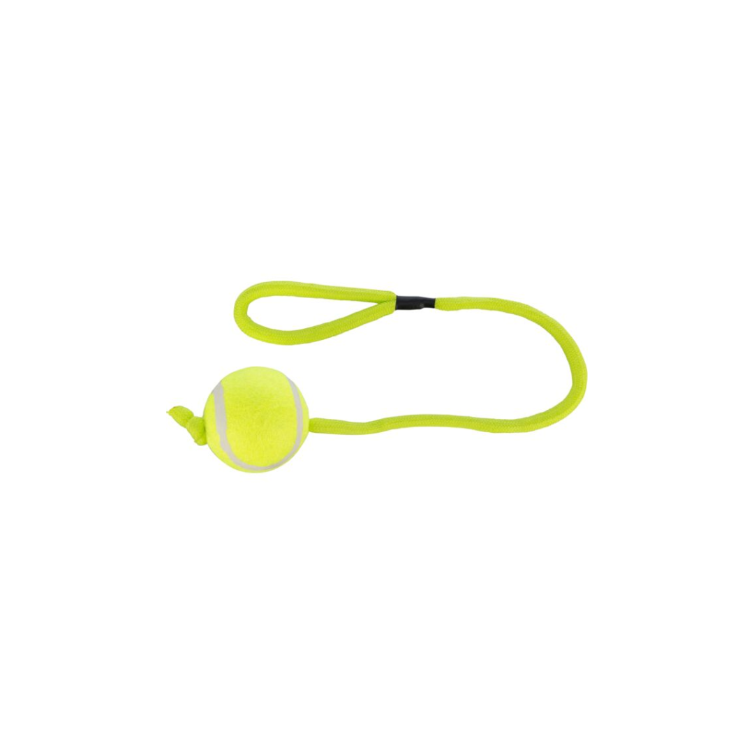 Balle de tennis sur corde – sécurité et plaisir pour votre chien