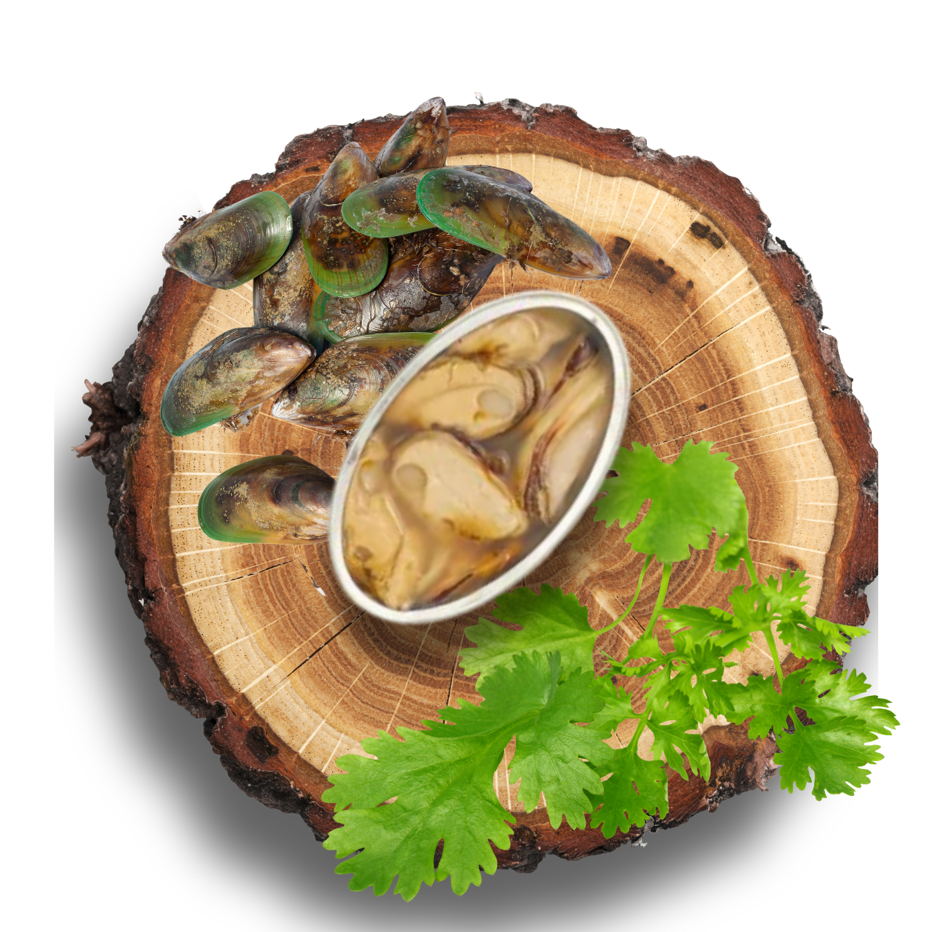 05.1 - Moule à lèvres vertes - Conserves Artisanales 100% naturelle - CANUMI