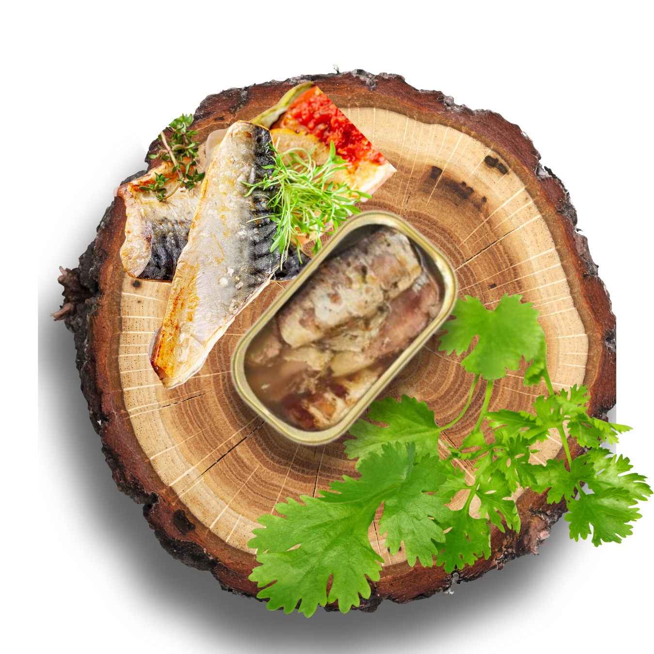 05.1- Filets de maquereau - Conserves Artisanales 100% naturelle - CANUMI