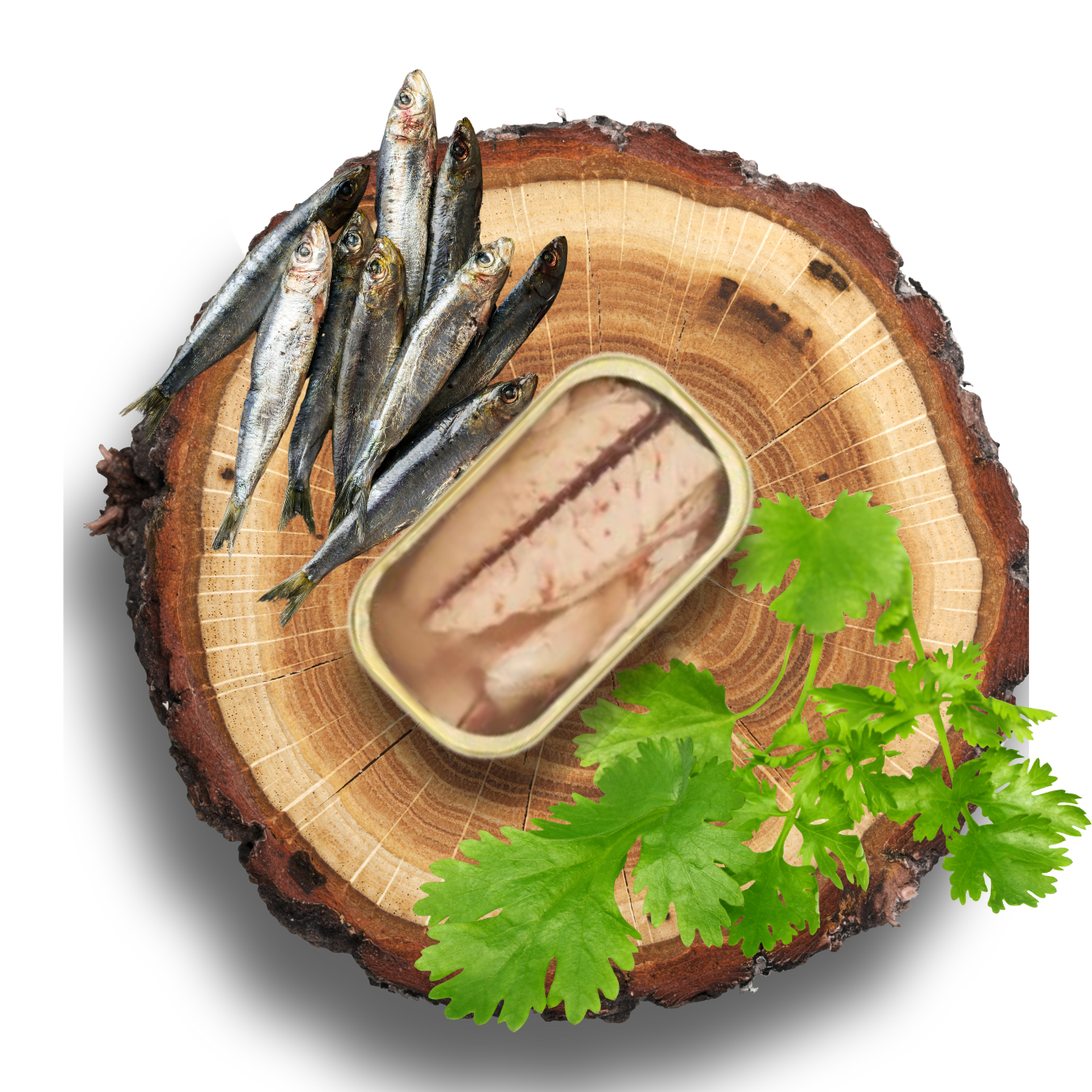 05.1 - Sardine entière - Conserves Artisanales 100% naturelle - CANUMI