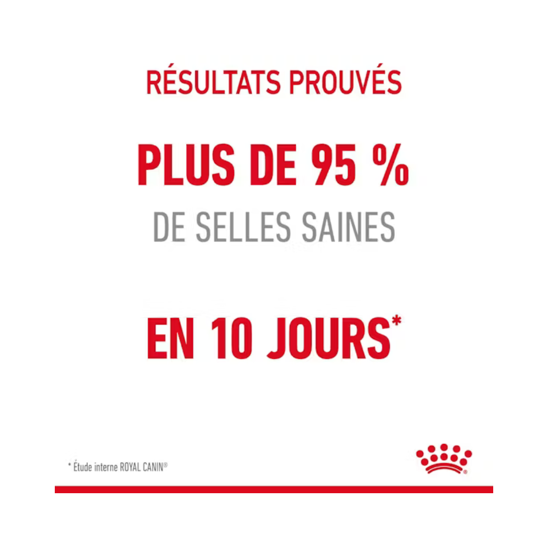 Digestive Care- Aliment Sec- Royal Canin