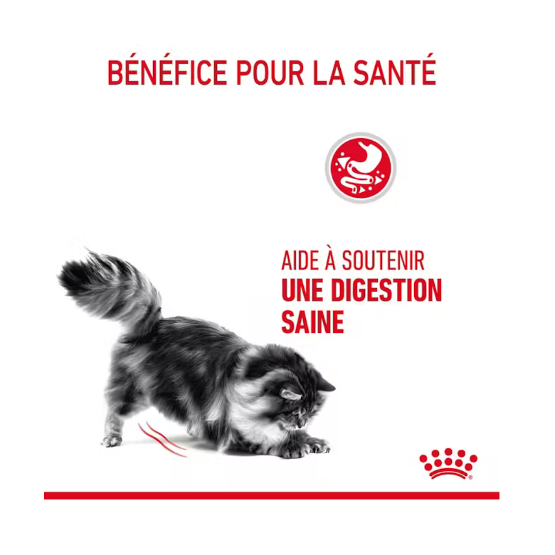 Digestive Care- Aliment Sec- Royal Canin