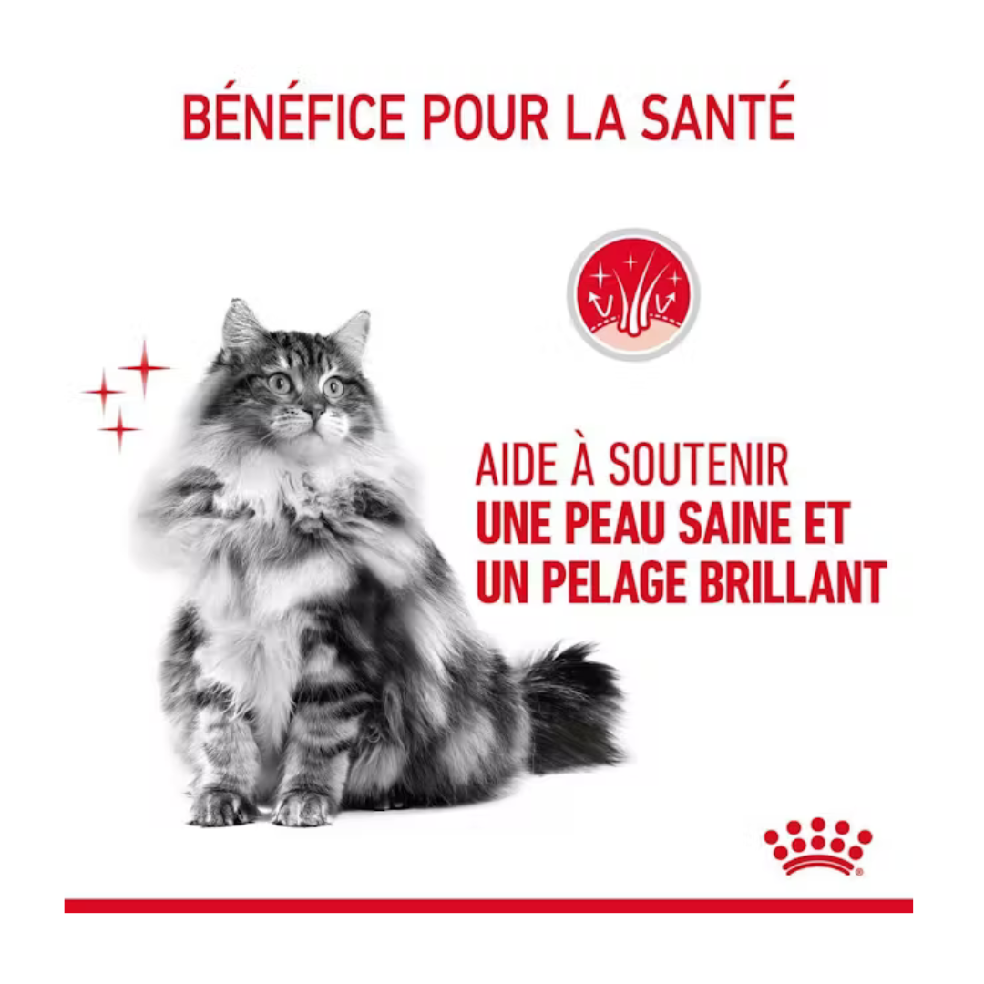 Hair & Skin Care- Aliment Sec- Royal Canin