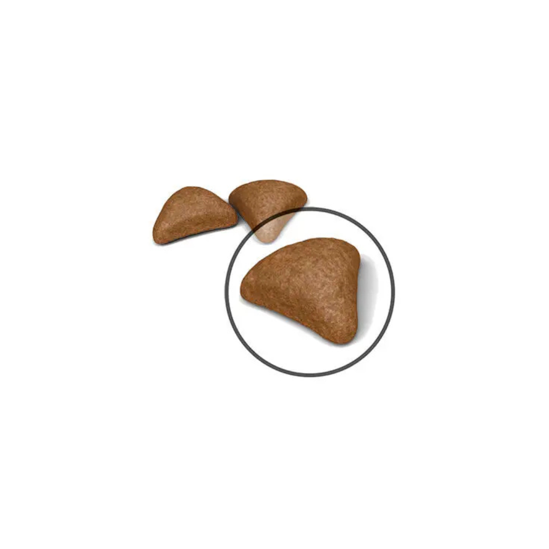 Hairball Care- Aliment Sec- Royal Canin 