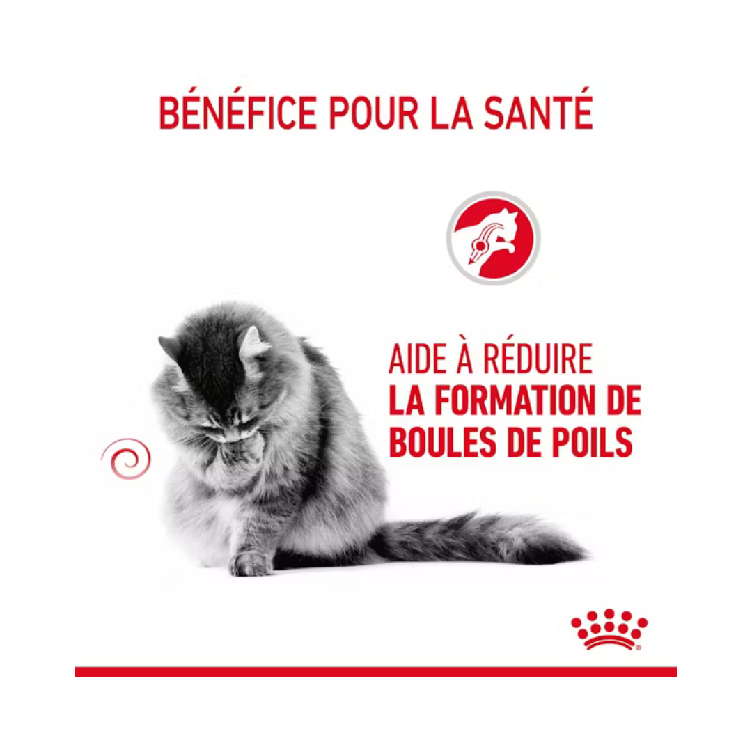 Hairball Care 12x85g- Aliment Humide- Royal Canin