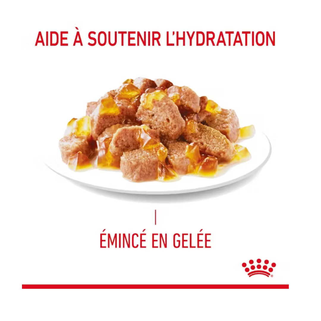 Hairball Care 12x85g- Aliment Humide- Royal Canin