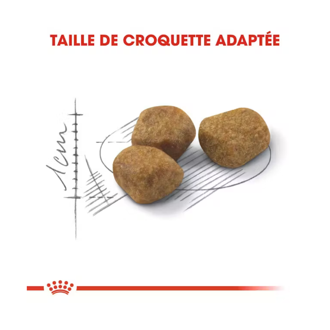 Indoor 7+ Aliment Sec- Royal Canin