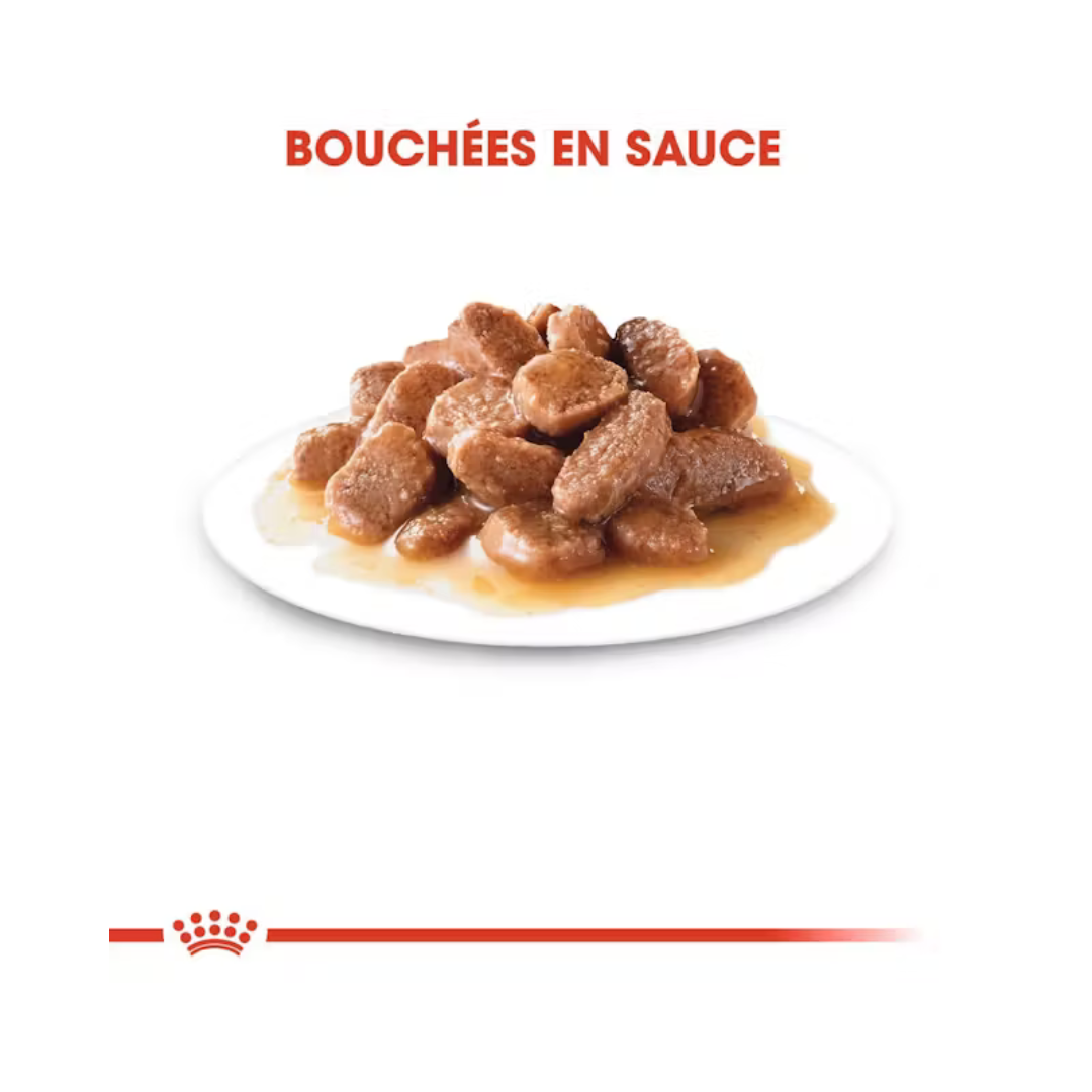 Instinctive en sauce 12x85g- Aliment Humide- Royal Canin
