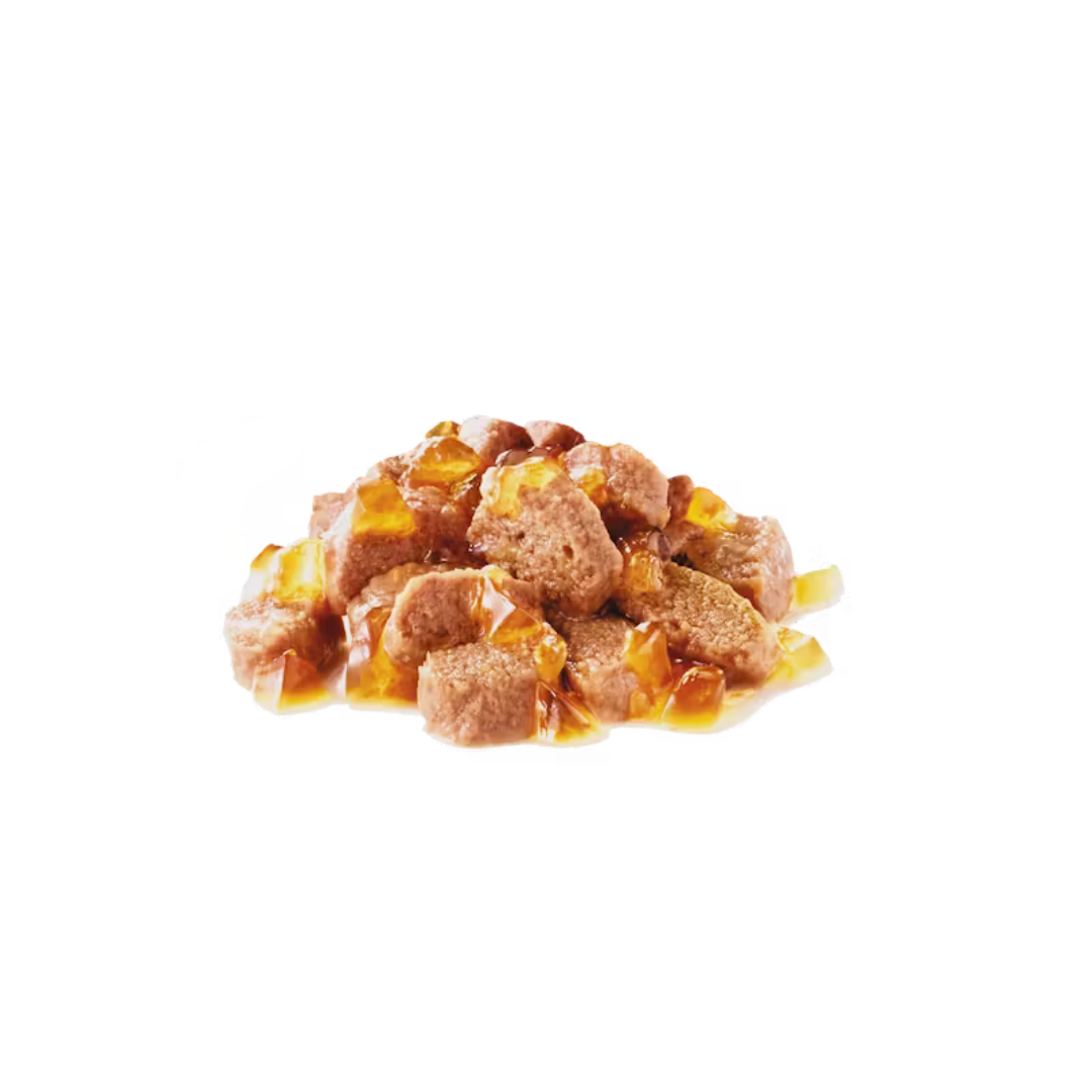 Instinctive en gelée 12x85g - Aliment Humide- Royal Canin 