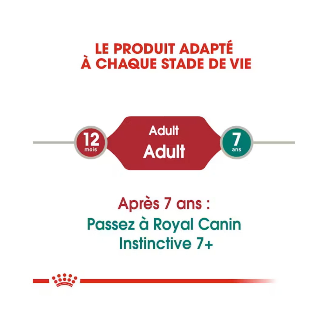 Instinctive en gelée 12x85g - Aliment Humide- Royal Canin 