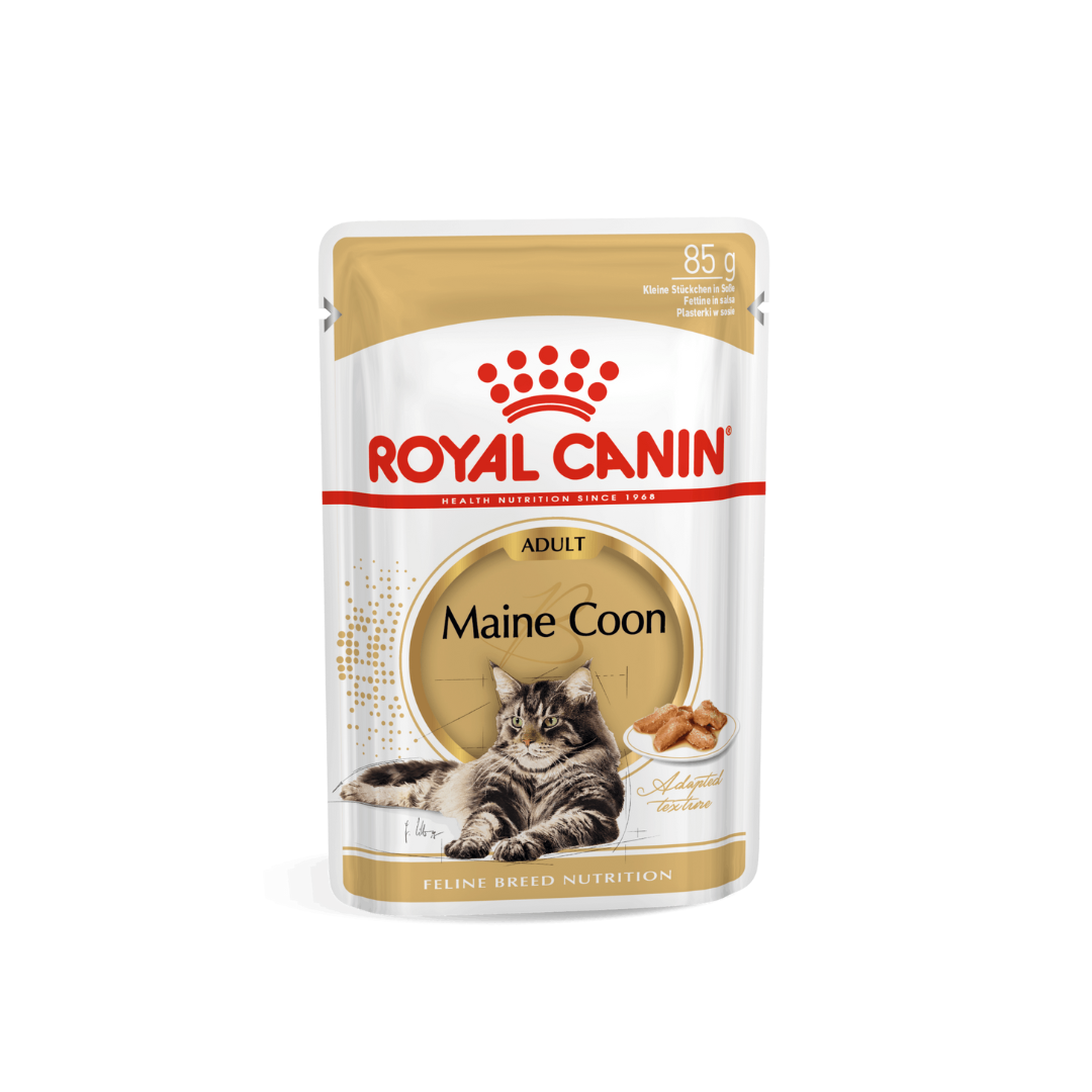 Maine Coon Loaf en Sauce 12x85g- Aliment Humide- Royal Canin