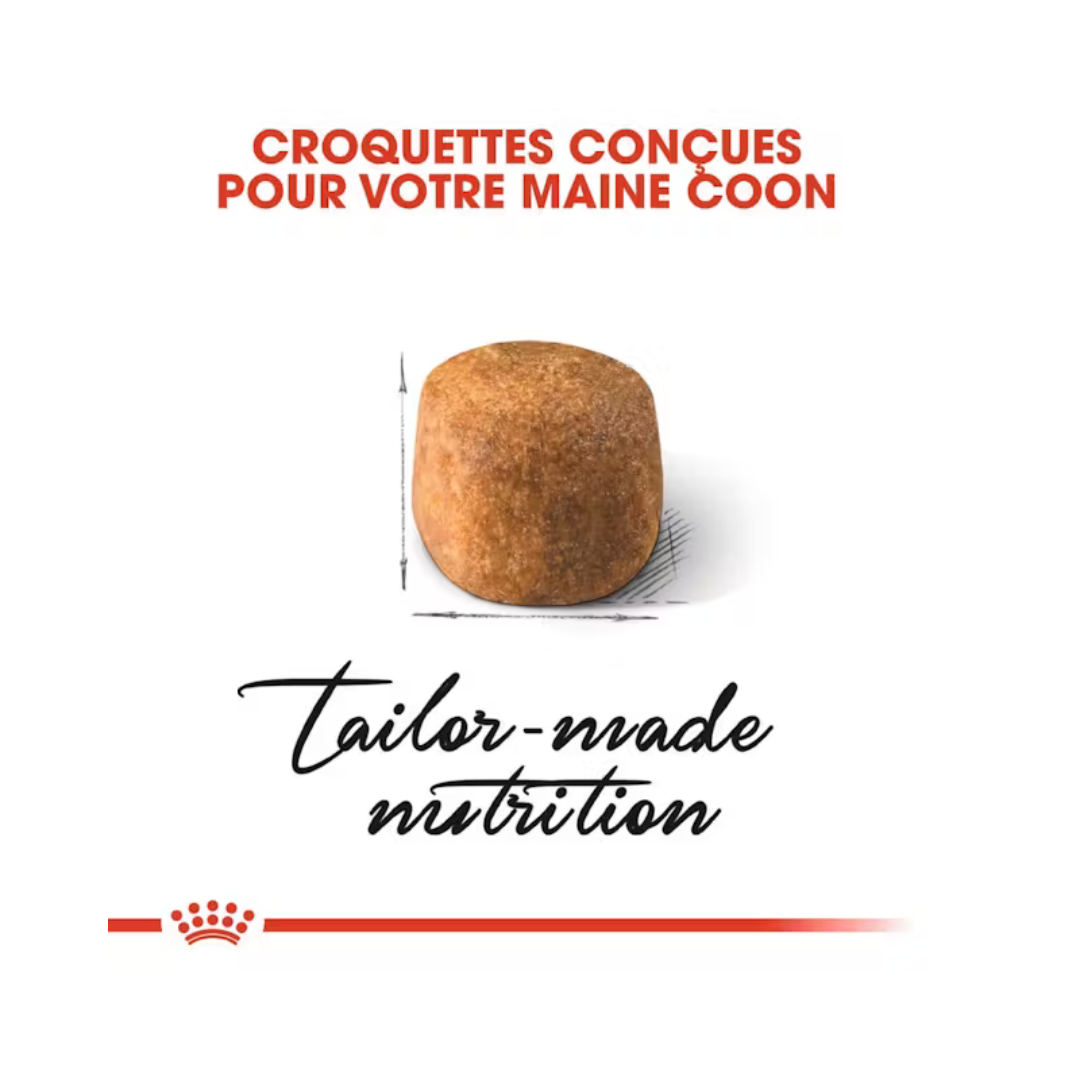 Maine Coon Adult- Aliment Sec- Royal Canin 