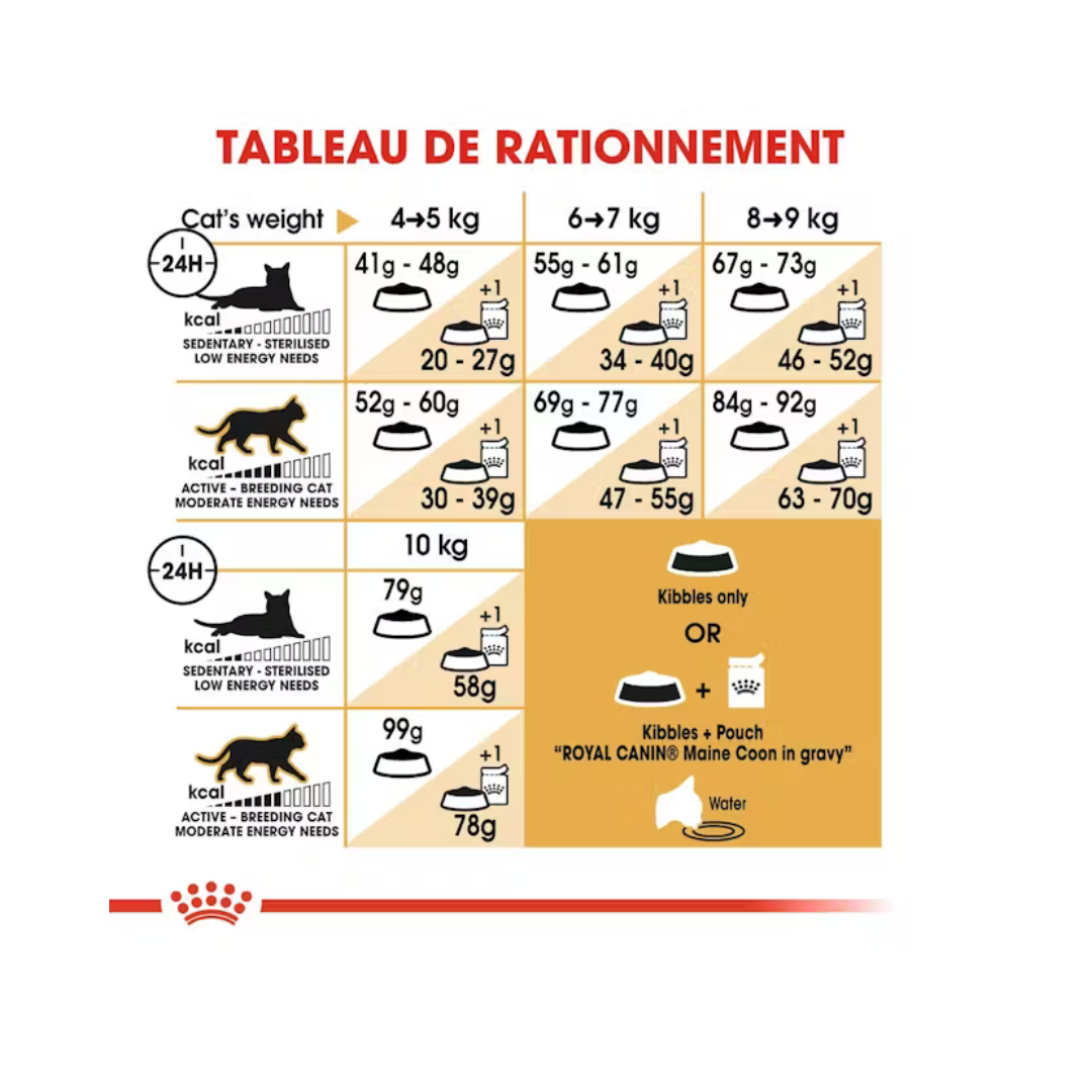 Maine Coon Adult- Aliment Sec- Royal Canin 