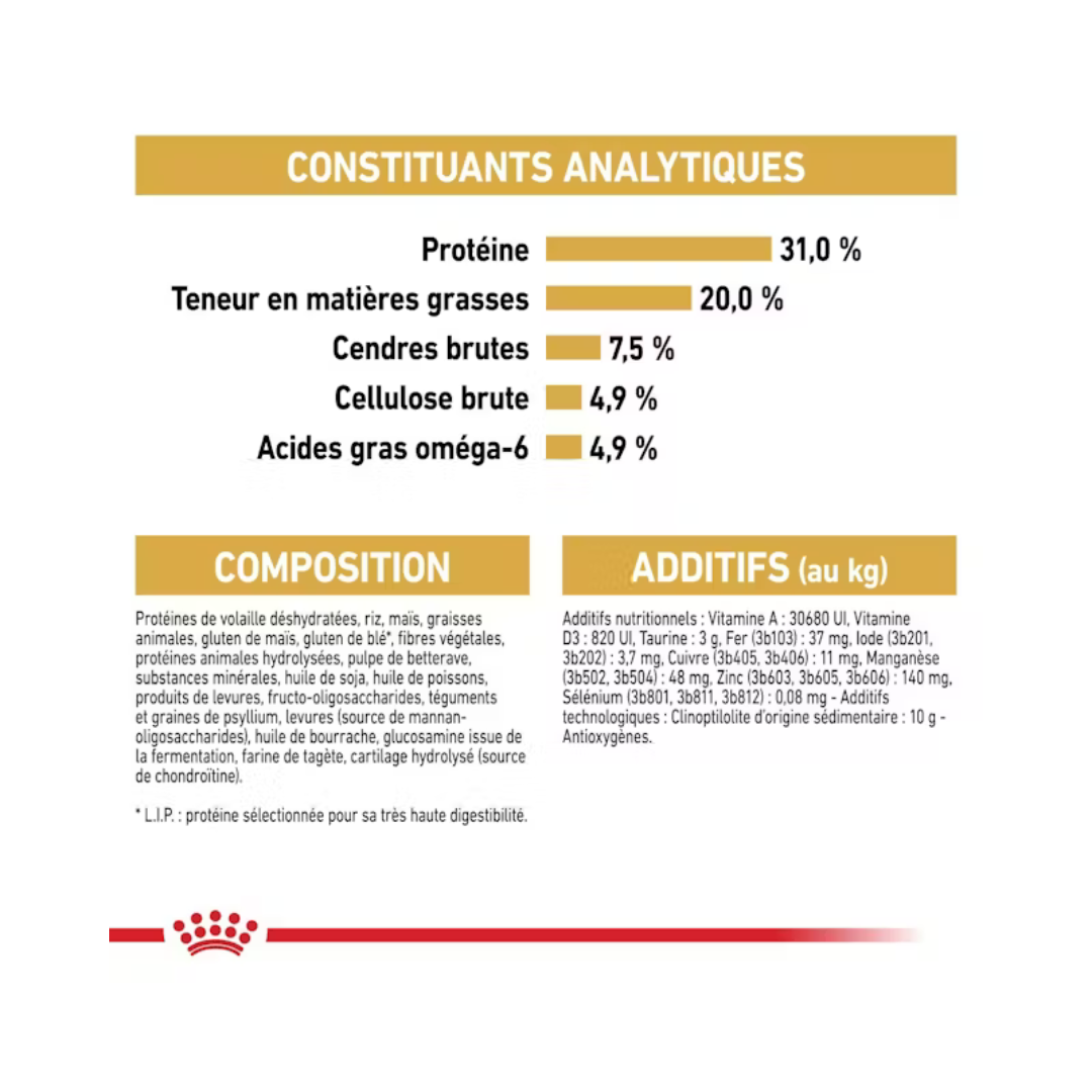 Maine Coon Adult- Aliment Sec- Royal Canin 