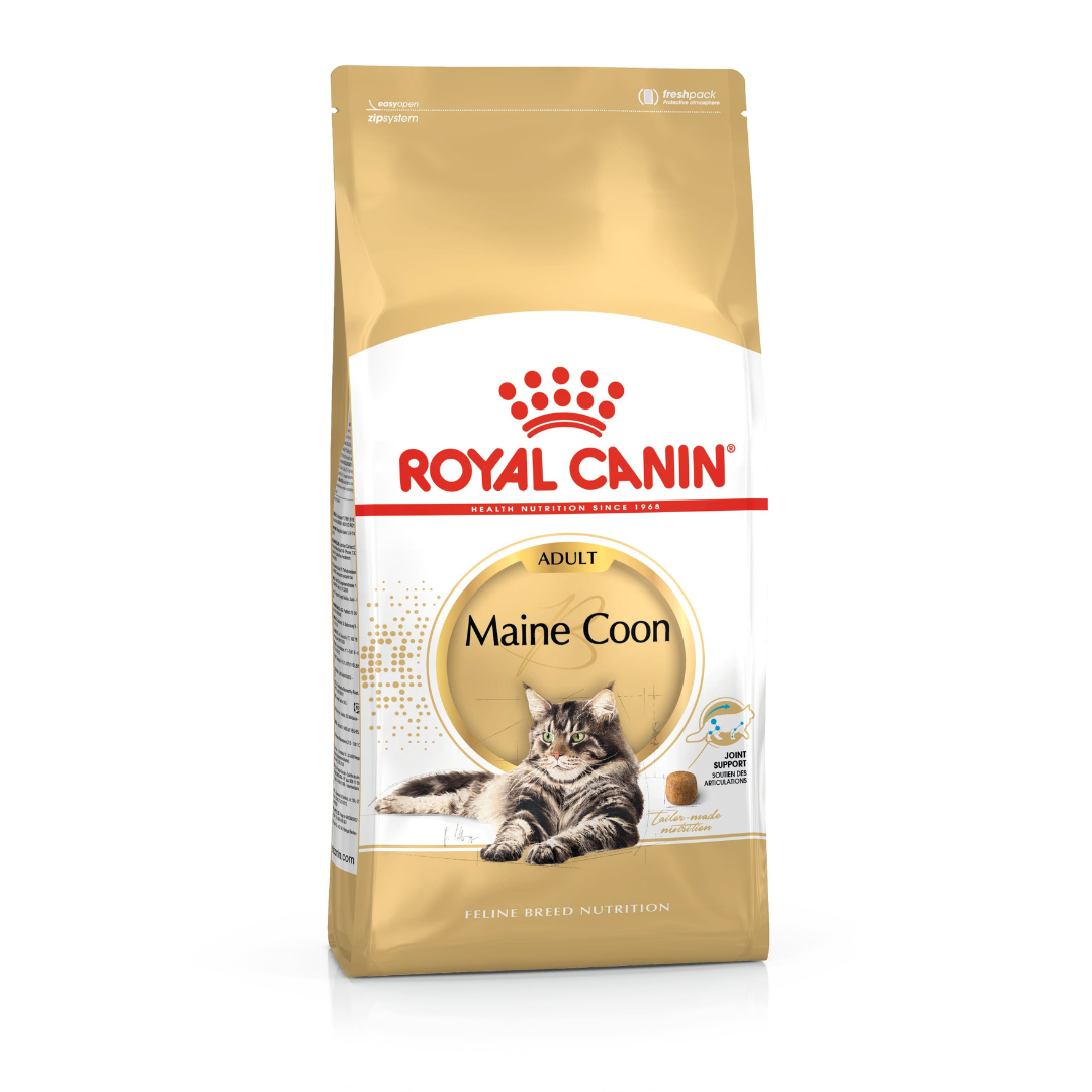 Maine Coon Adult- Aliment Sec- Royal Canin 