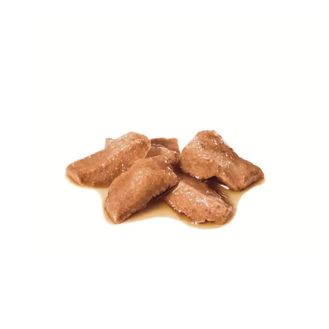 Maine Coon Loaf en Sauce 12x85g- Aliment Humide- Royal Canin