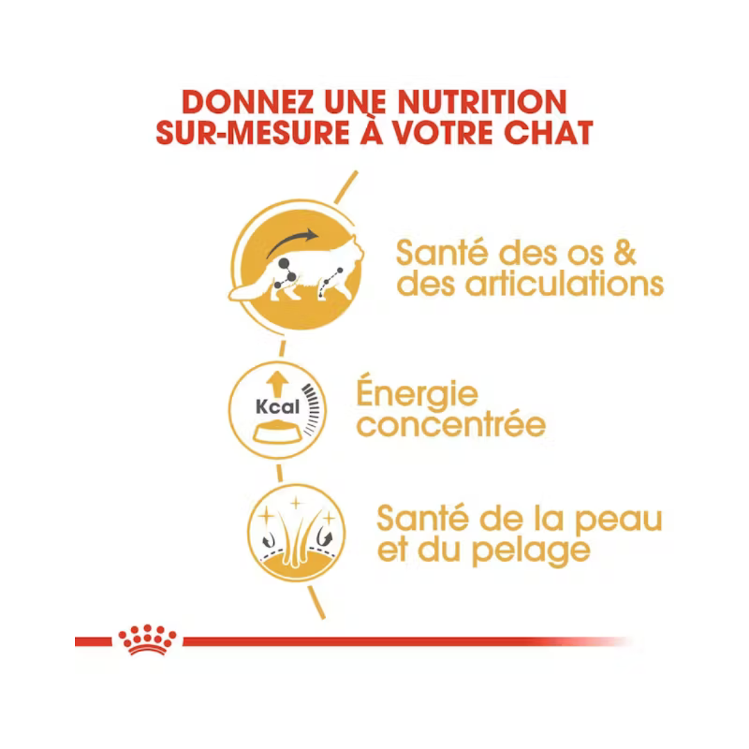 Maine Coon Loaf en Sauce 12x85g- Aliment Humide- Royal Canin