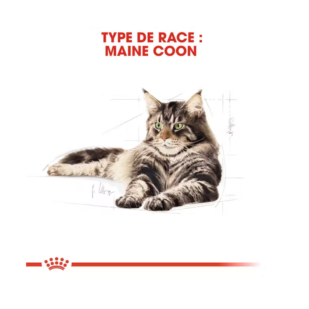 Maine Coon Loaf en Sauce 12x85g- Aliment Humide- Royal Canin