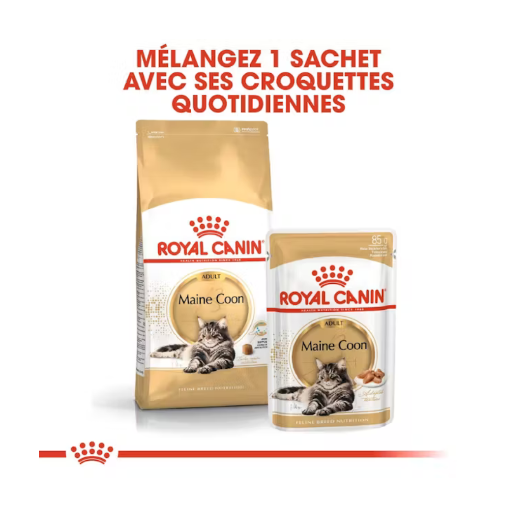 Maine Coon Loaf en Sauce 12x85g- Aliment Humide- Royal Canin
