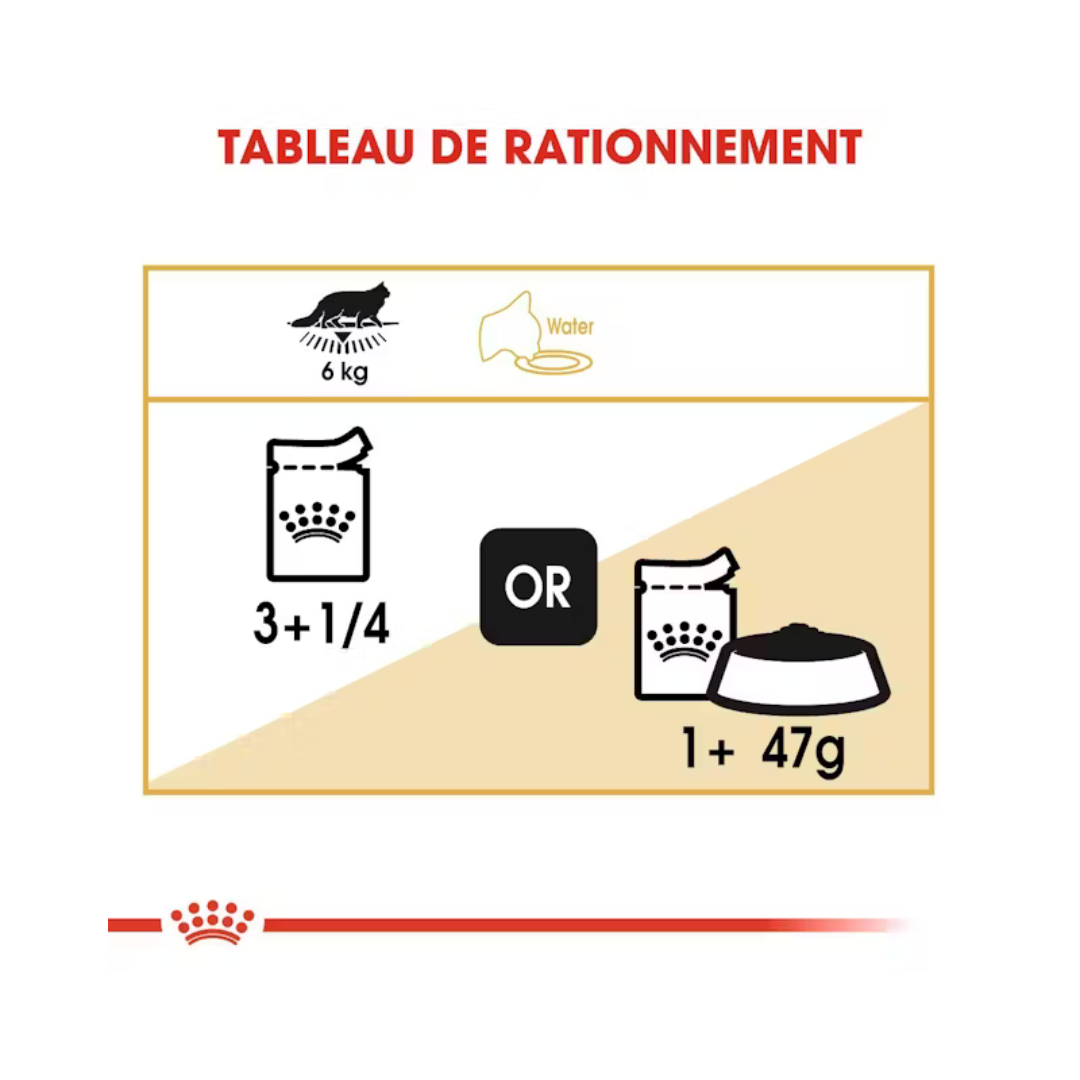 Maine Coon Loaf en Sauce 12x85g- Aliment Humide- Royal Canin