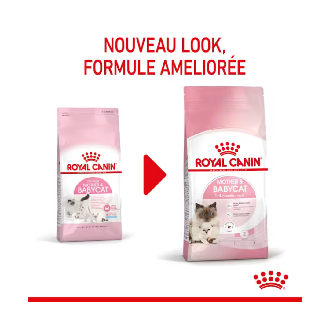 Mère & Chaton- Aliment Sec- Royal Canin