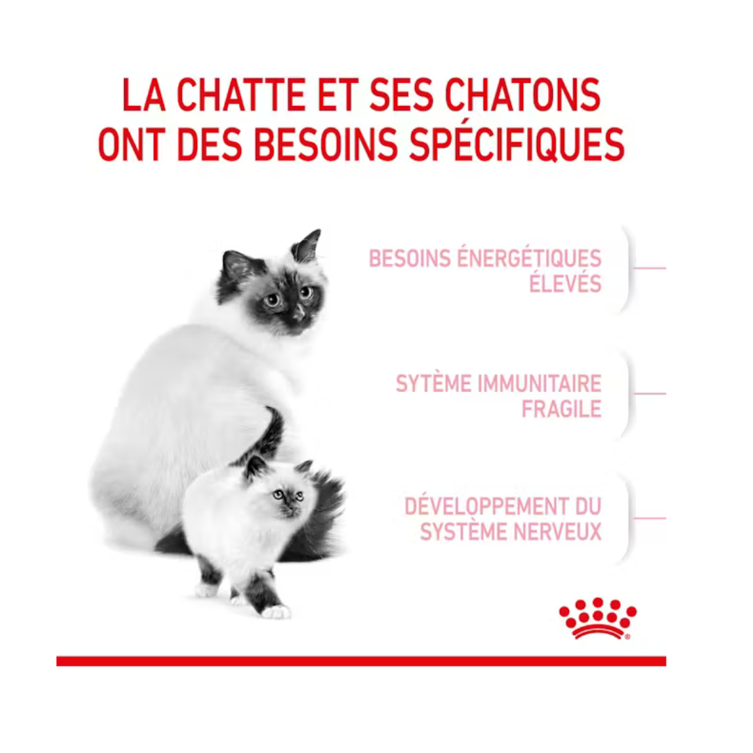 Mère & Chaton- Aliment Sec- Royal Canin