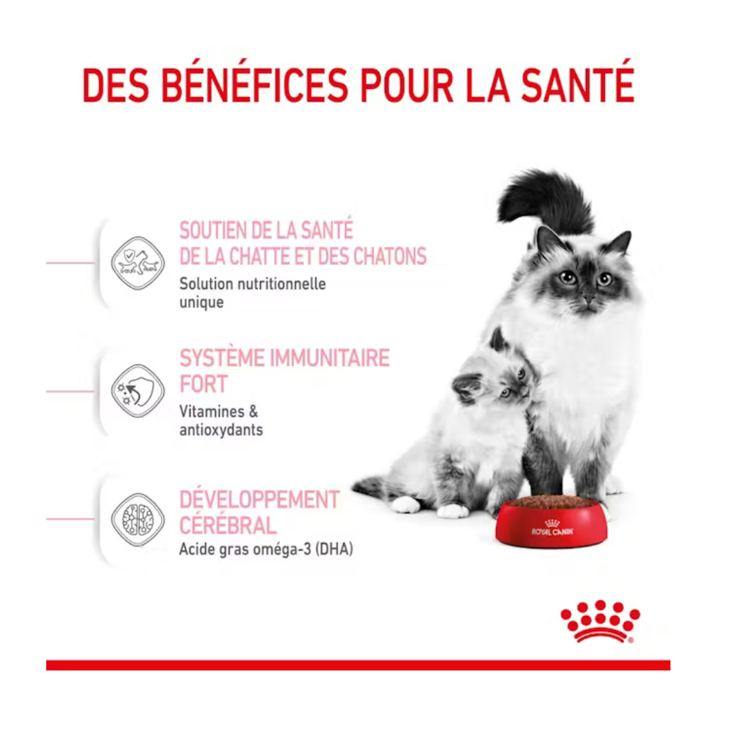 Mère & Chaton- Aliment Sec- Royal Canin