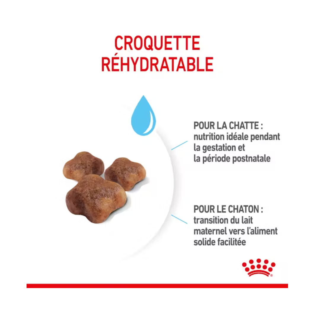 Mère & Chaton- Aliment Sec- Royal Canin