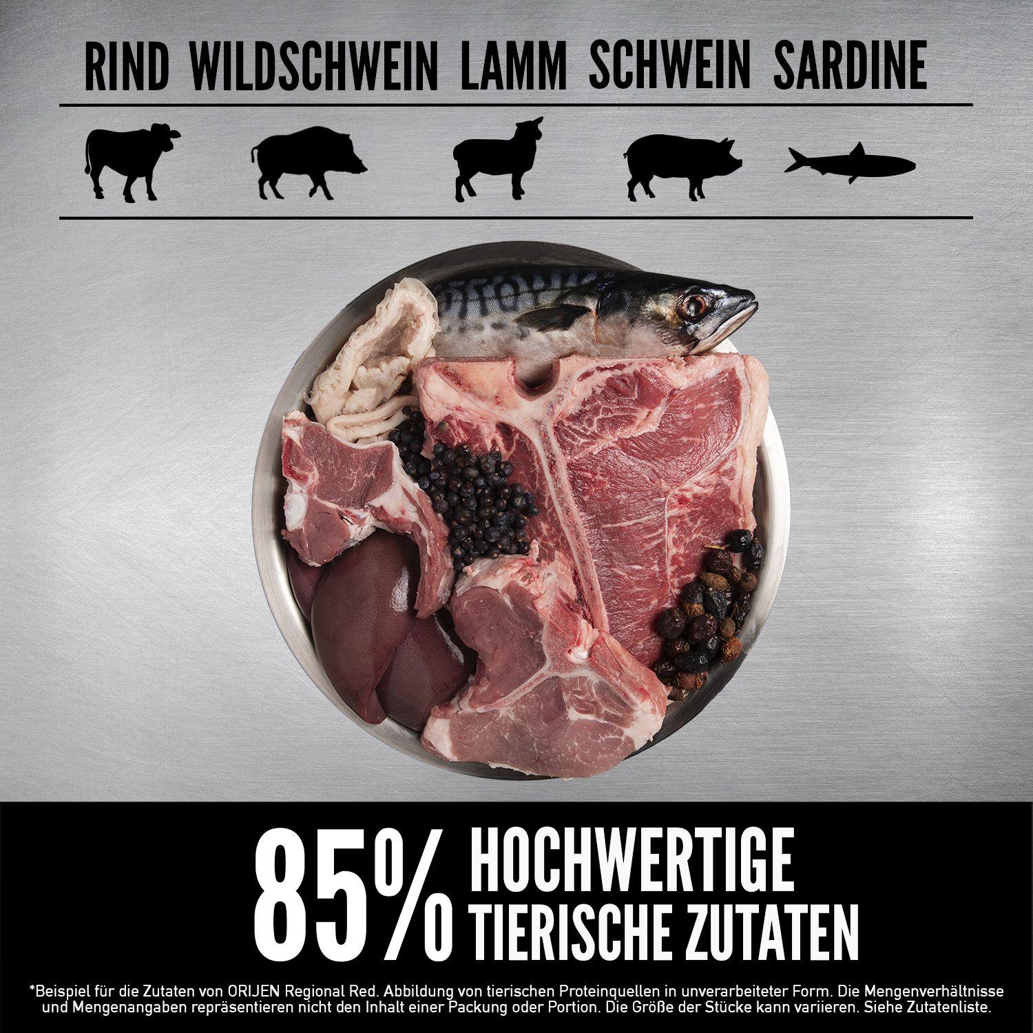 ORIJEN™ Cat Regional Red