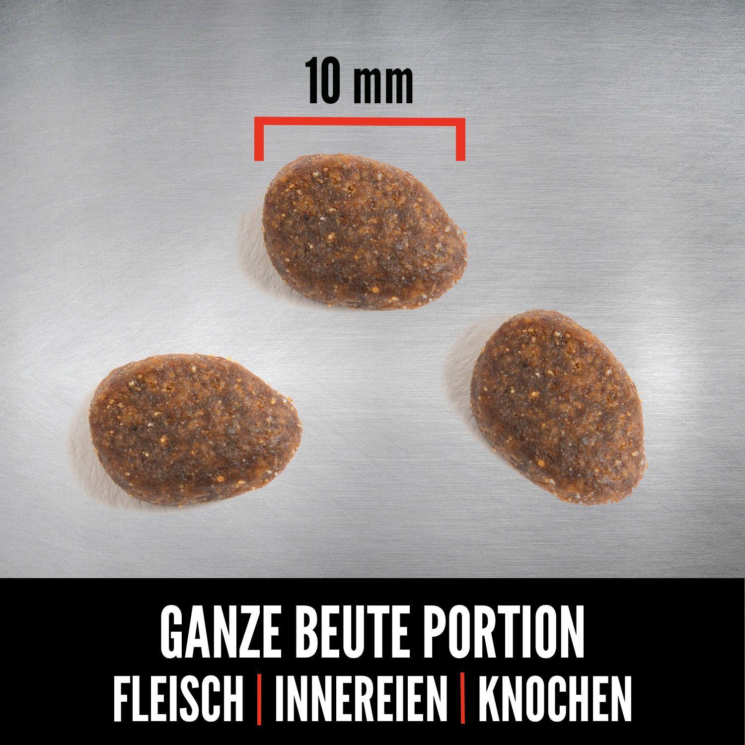 ORIJEN™ Cat Regional Red