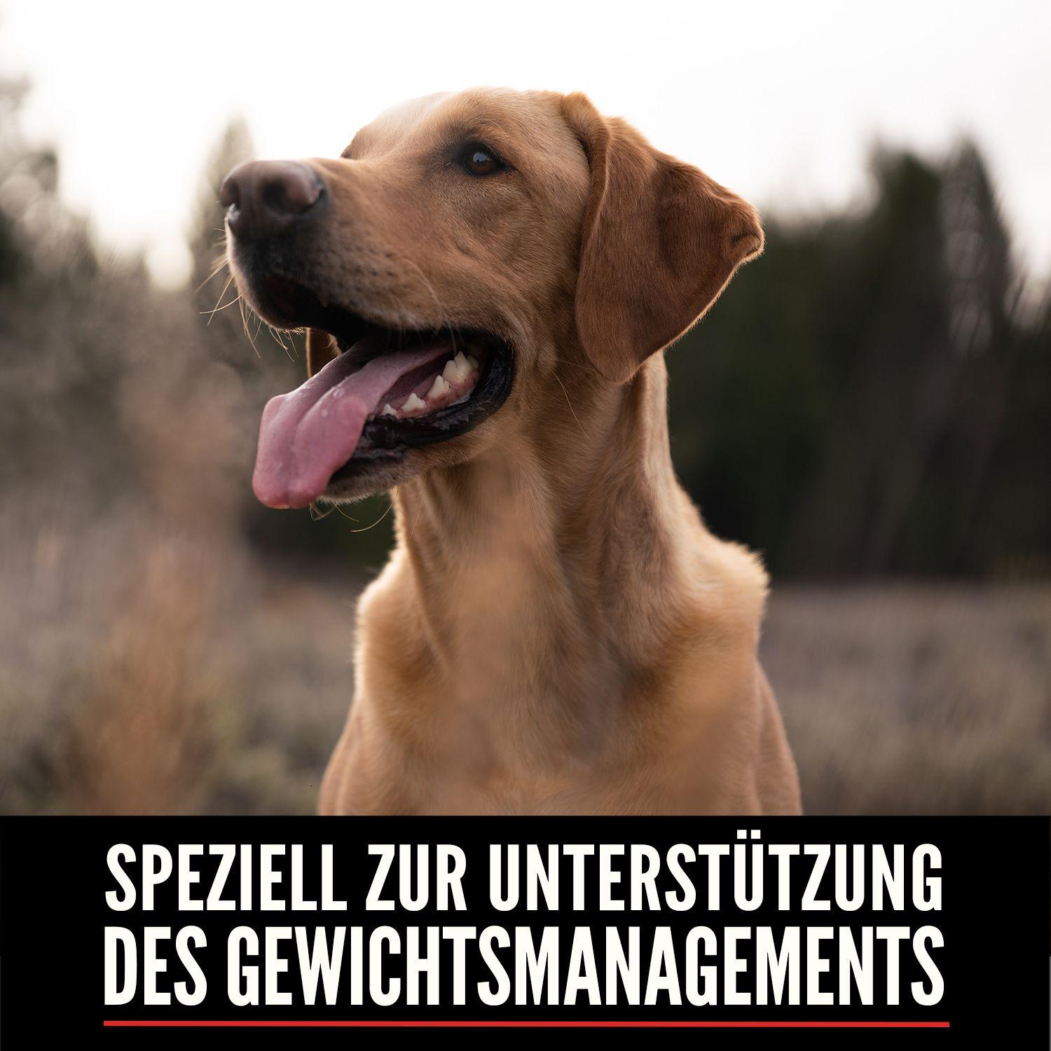 ORIJEN™ Dog Fit & Trim