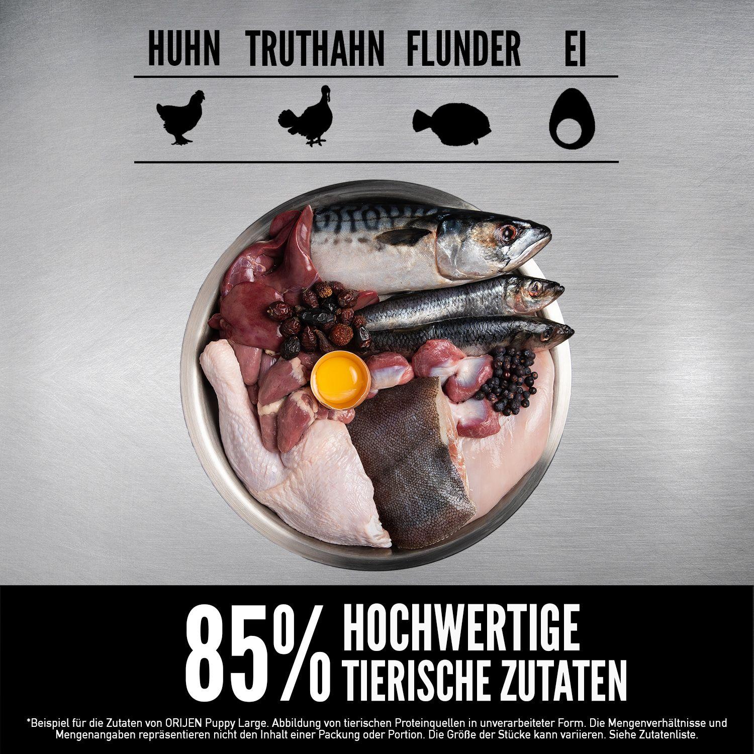 ORIJEN™ Dog Large Breed Puppy