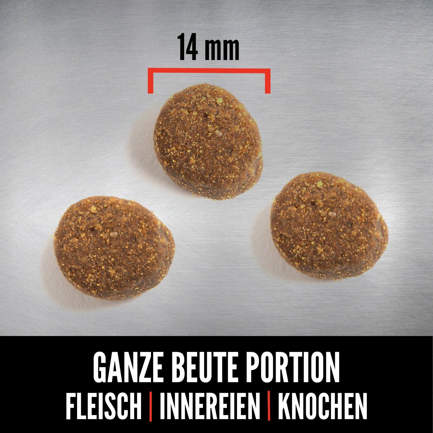 ORIJEN™ Dog Large Breed Puppy