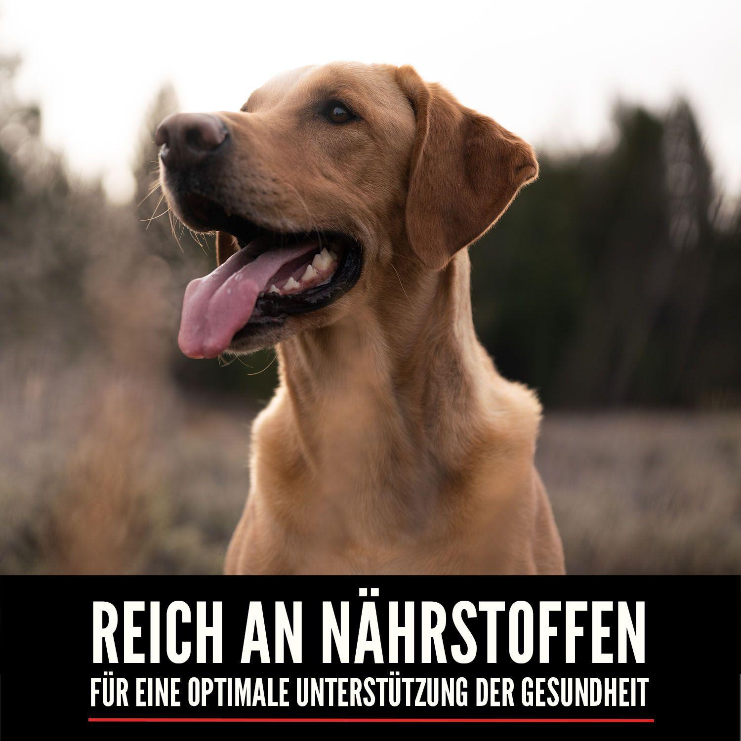 ORIJEN™ Dog Six Fish