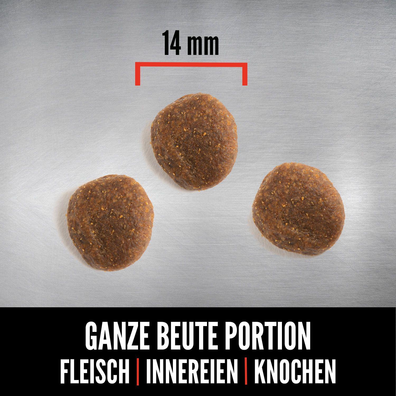 ORIJEN™ Dog Six Fish