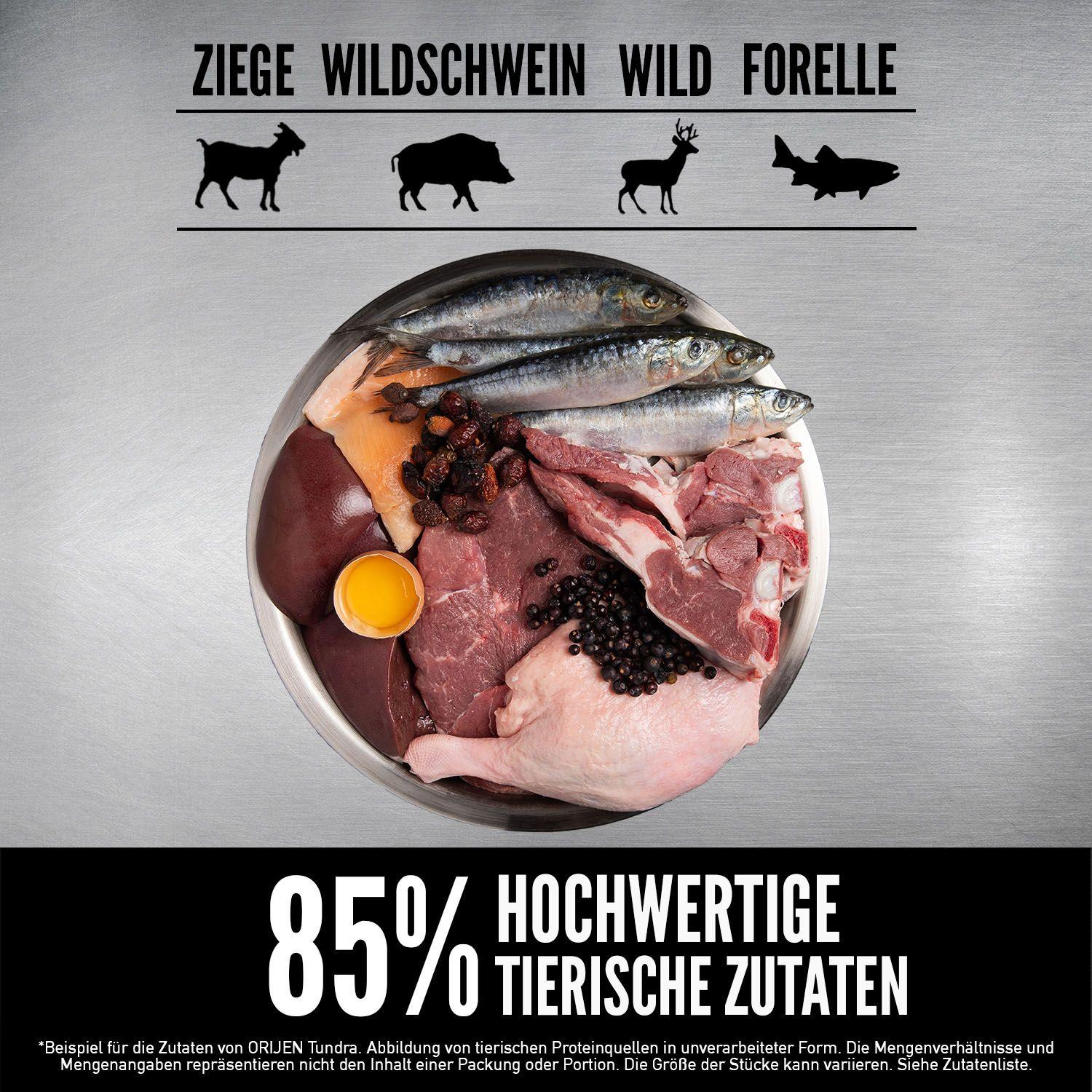 ORIJEN™ Dog Tundra