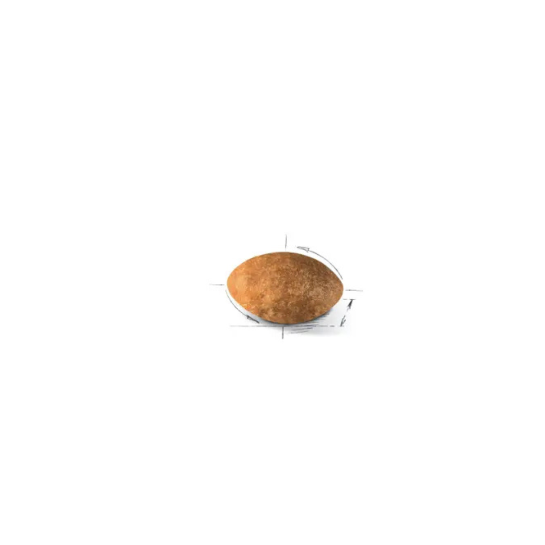 Persan Adulte- Alimnet Sec- Royal Canin