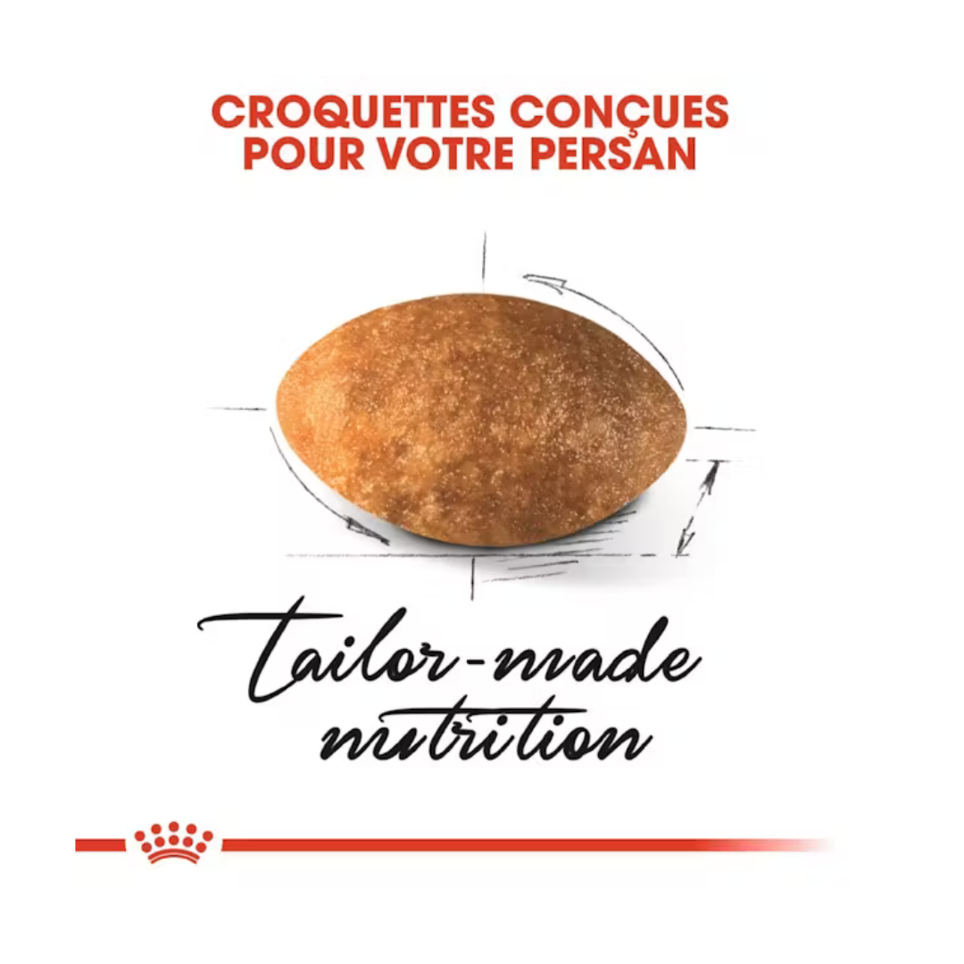 Persan Adulte- Alimnet Sec- Royal Canin