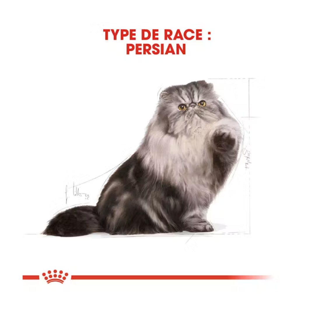 Persan Adulte- Alimnet Sec- Royal Canin