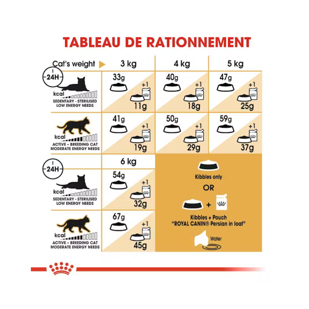 Persan Adulte- Alimnet Sec- Royal Canin