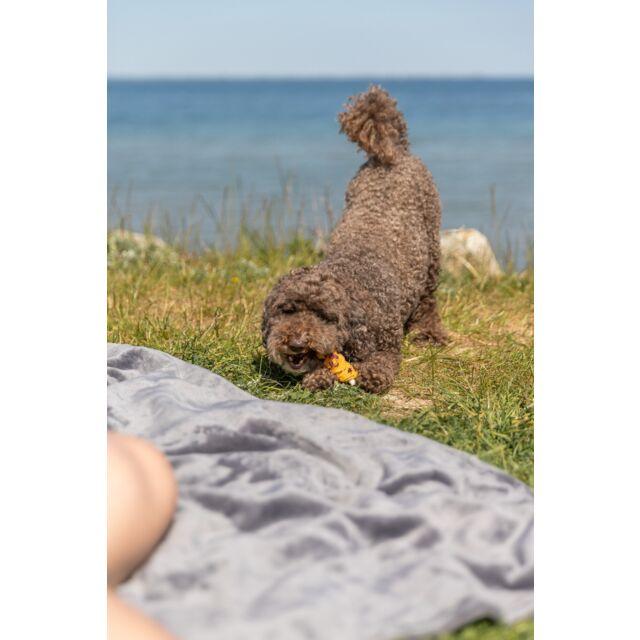 sucette premio avec poitrine de poulet – en vrac