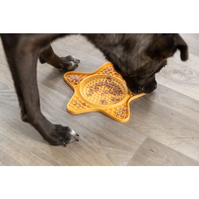  Table à lécher Lick’n’Snack 