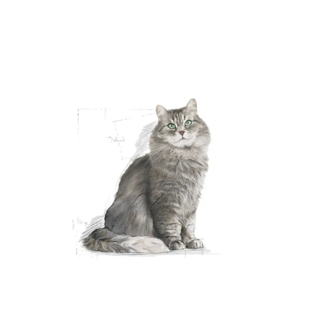 Sensible 33- Aliment Sec- Royal Canin