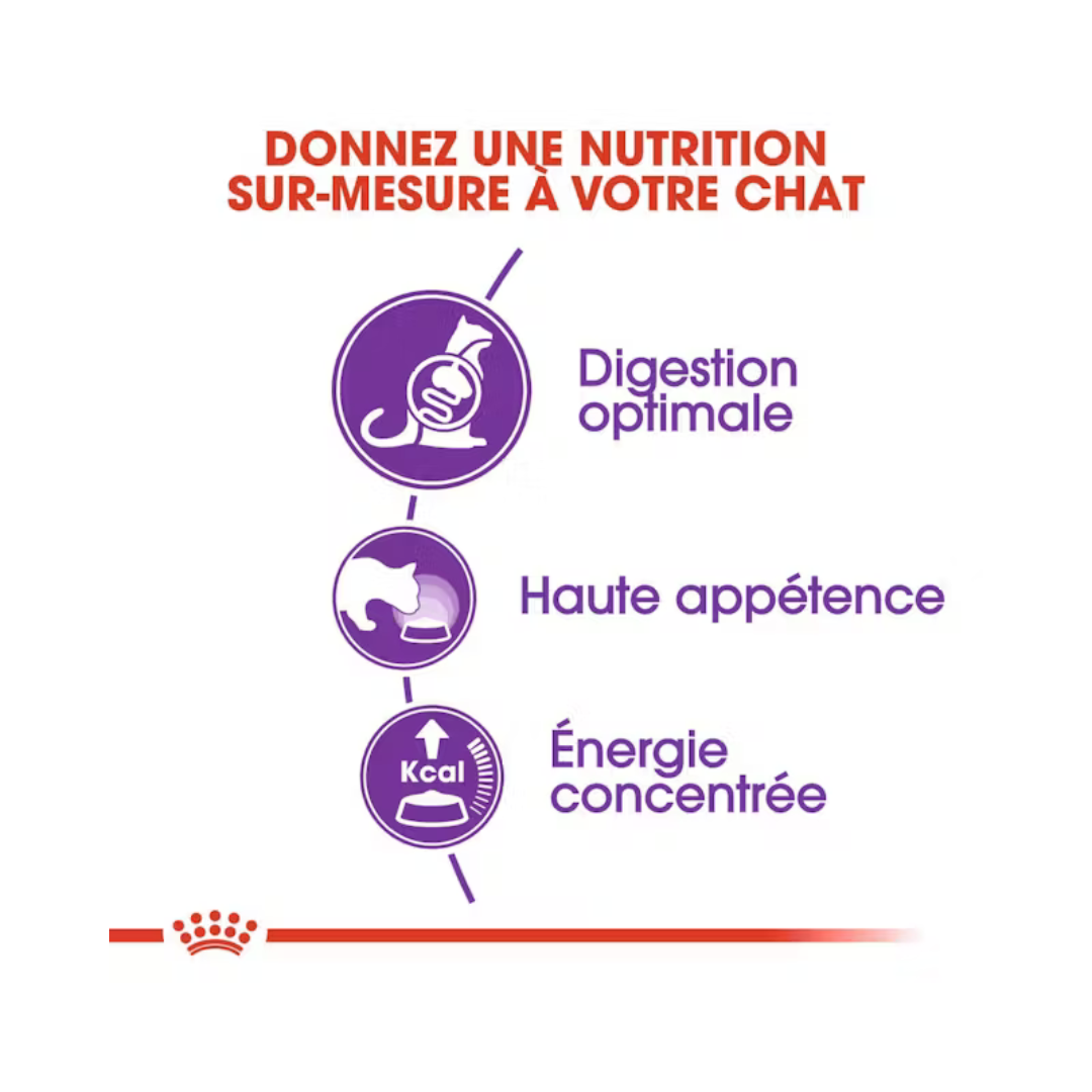 Sensible 33- Aliment Sec- Royal Canin