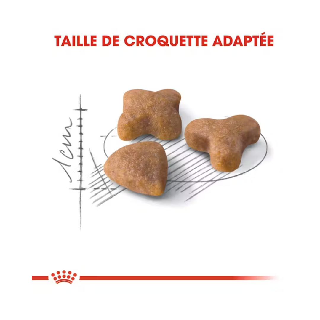 Sensible 33- Aliment Sec- Royal Canin