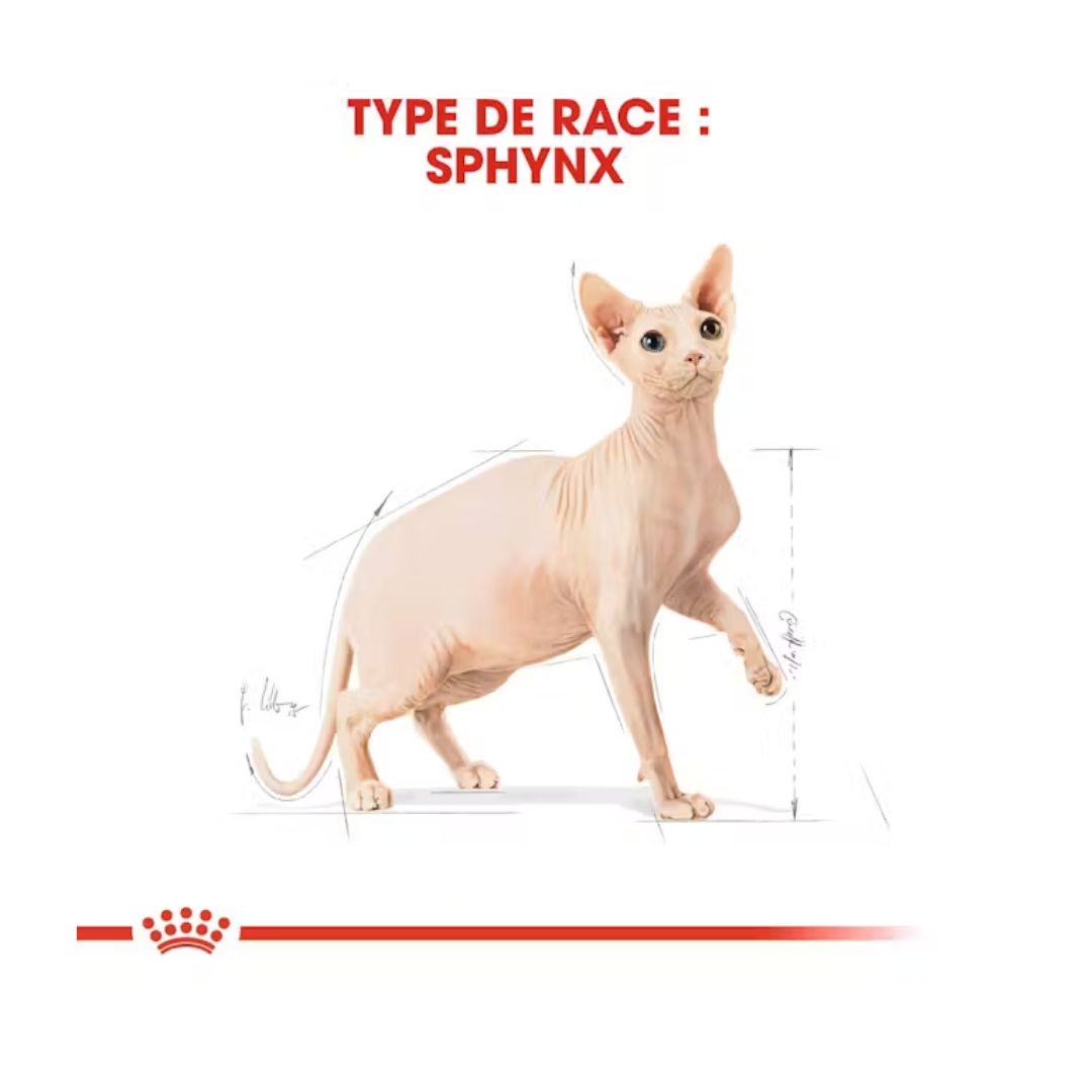 Sphynx Adult- Aliment Sec- Royal Canin